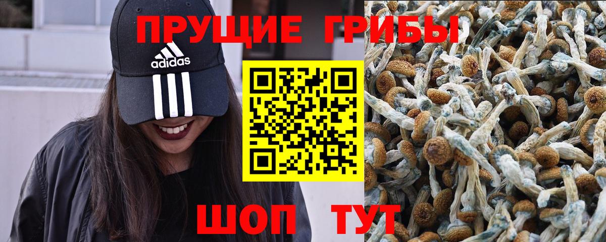 Галлюциногенные грибы прущие грибы Люберцы