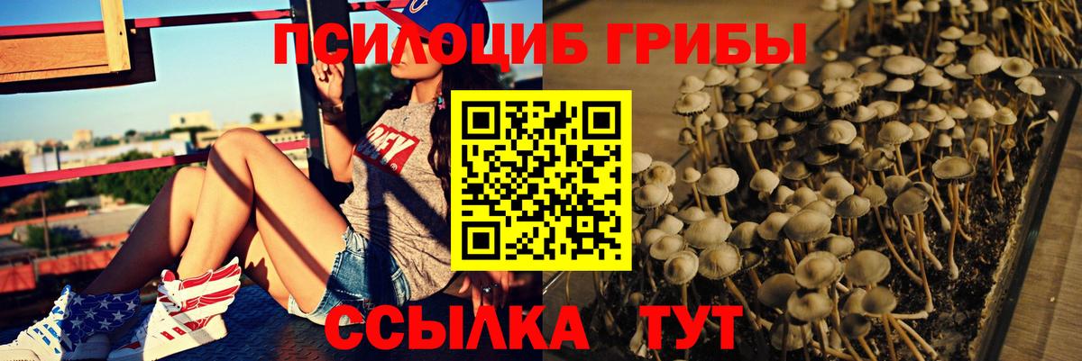Галлюциногенные грибы ЛСД  Псилоцибиновые грибы Psilocybine cubensis  где продают   Вход с VPN  Люберцы 